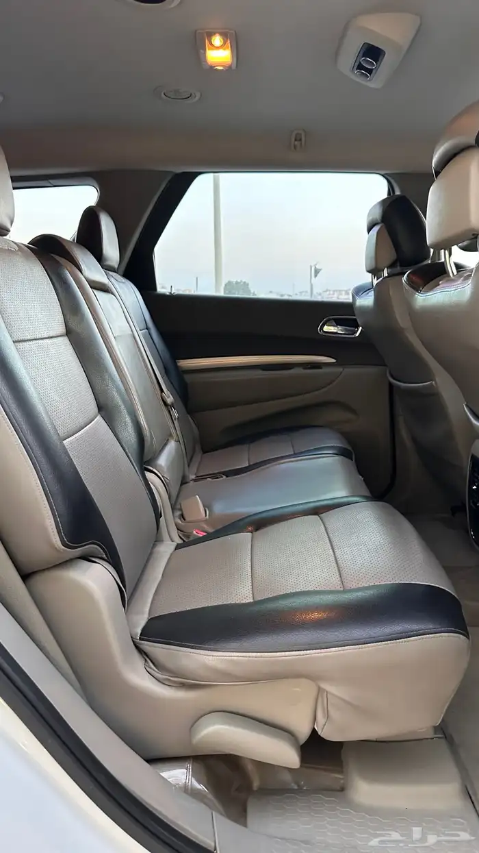 درانجو 2013 25