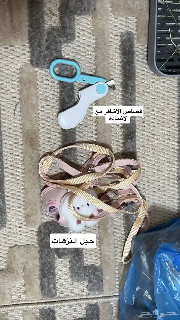 ارنب هولاند لوب 4