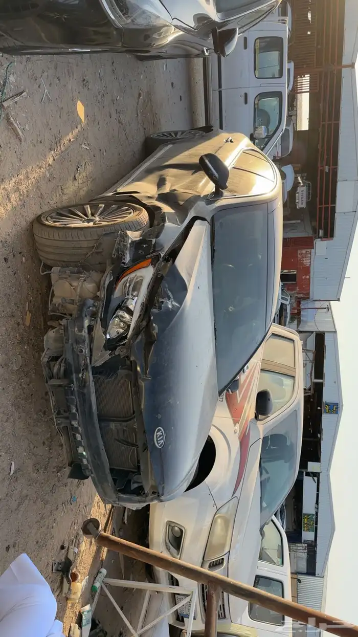 كادينزا 2012 2