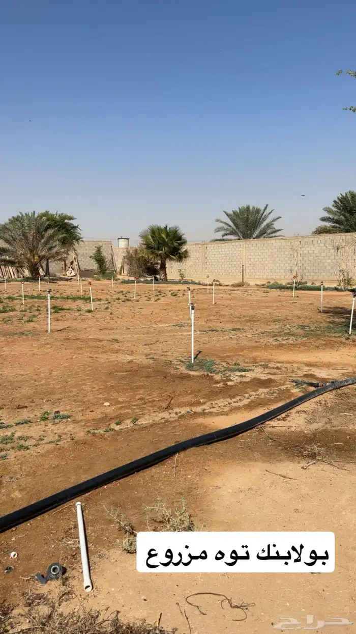 للبيع استراحة بالخرج ( الريحان ) كلشي جاهز 14