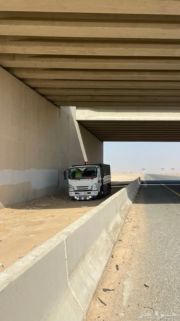 دينه دينا جده 1