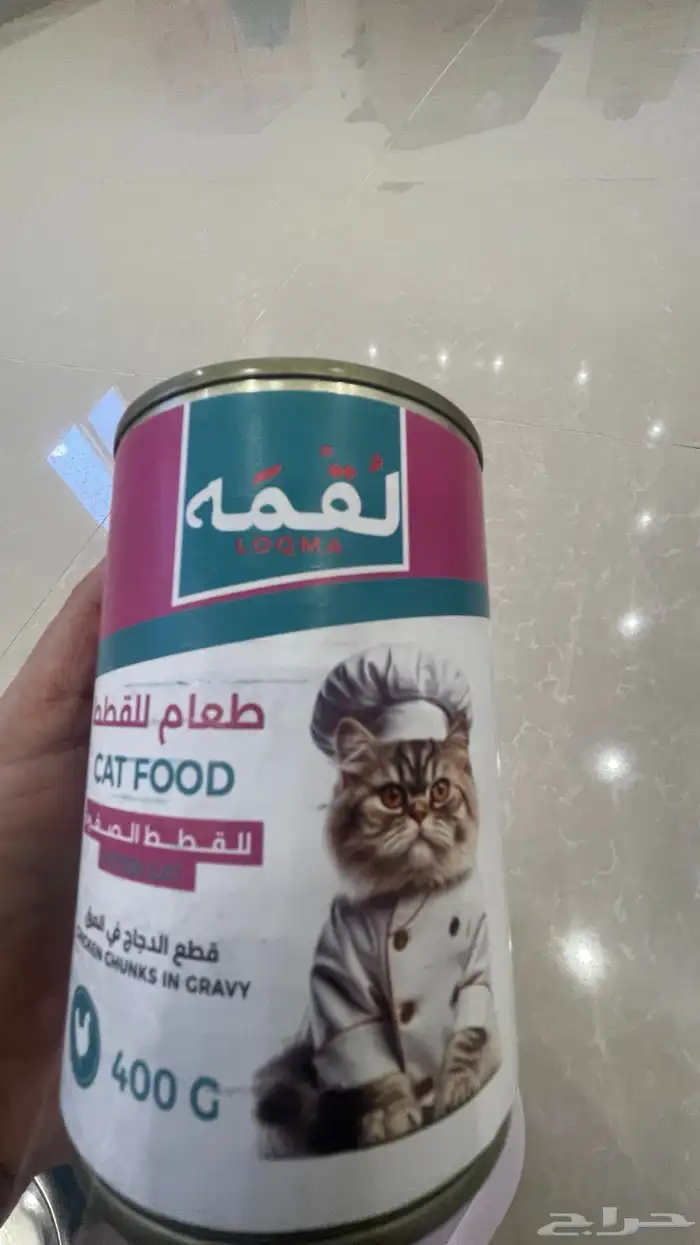 برج القطط جديد واكل للقطط 2