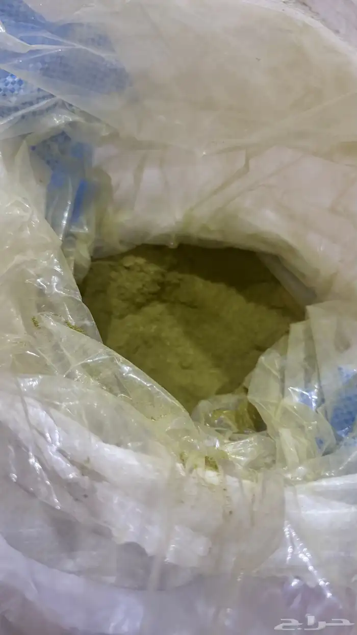 حنا المدينة 1