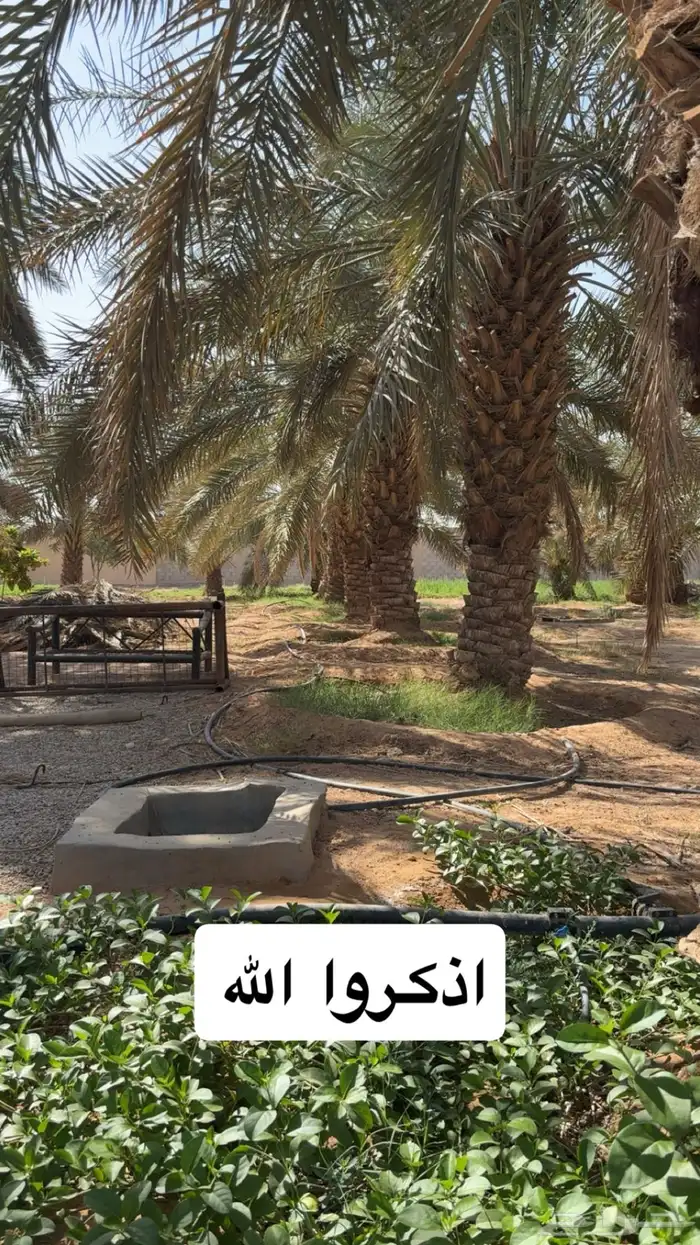 للبيع استراحة بالخرج ( الريحان ) كلشي جاهز 11