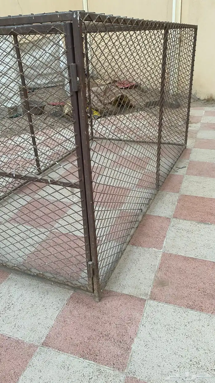 قفص كيبير البيع الموقع عفيف 4