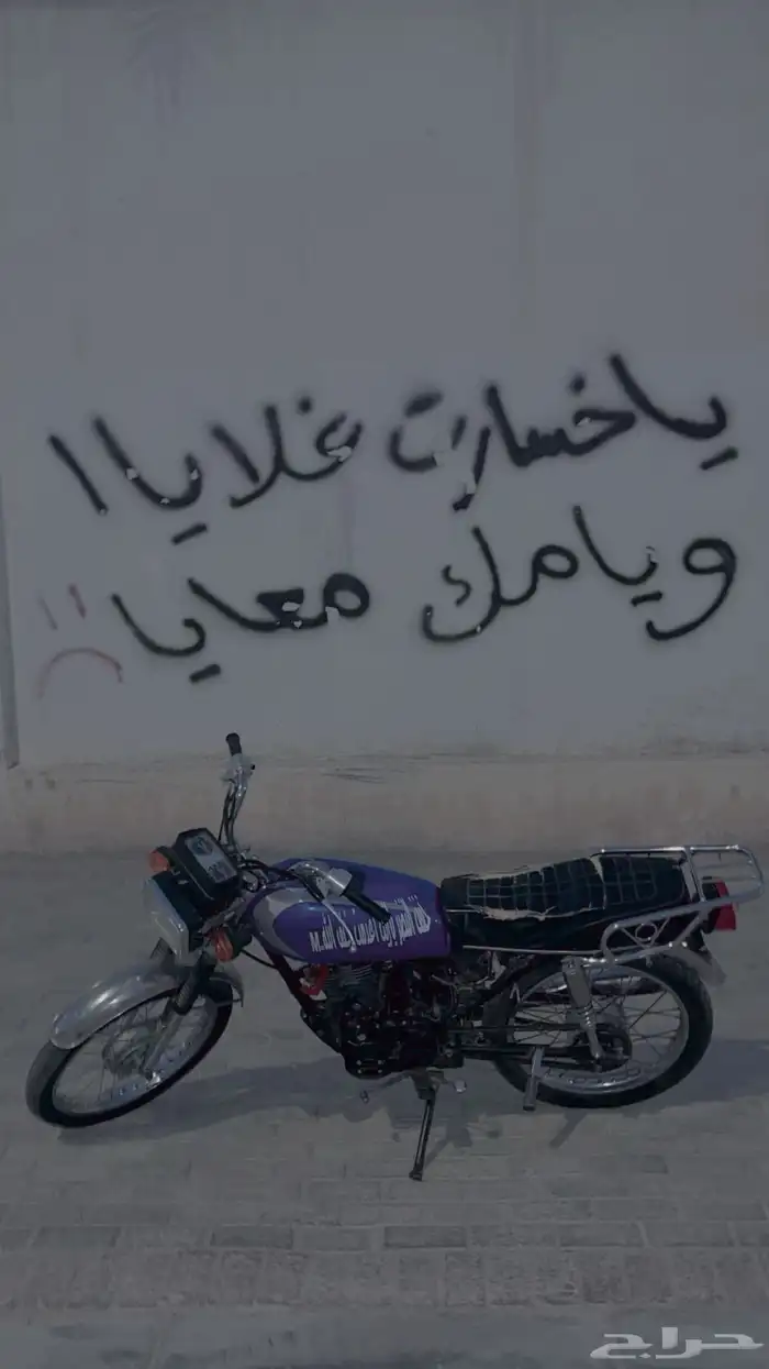 دباب 6