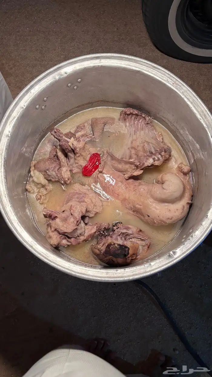 الحلال النظيففف وشرط بسعر خاص 5