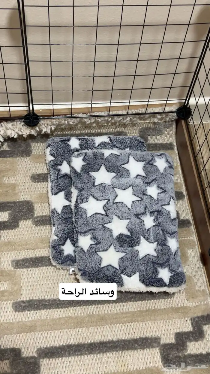 ارنب هولاند لوب 2