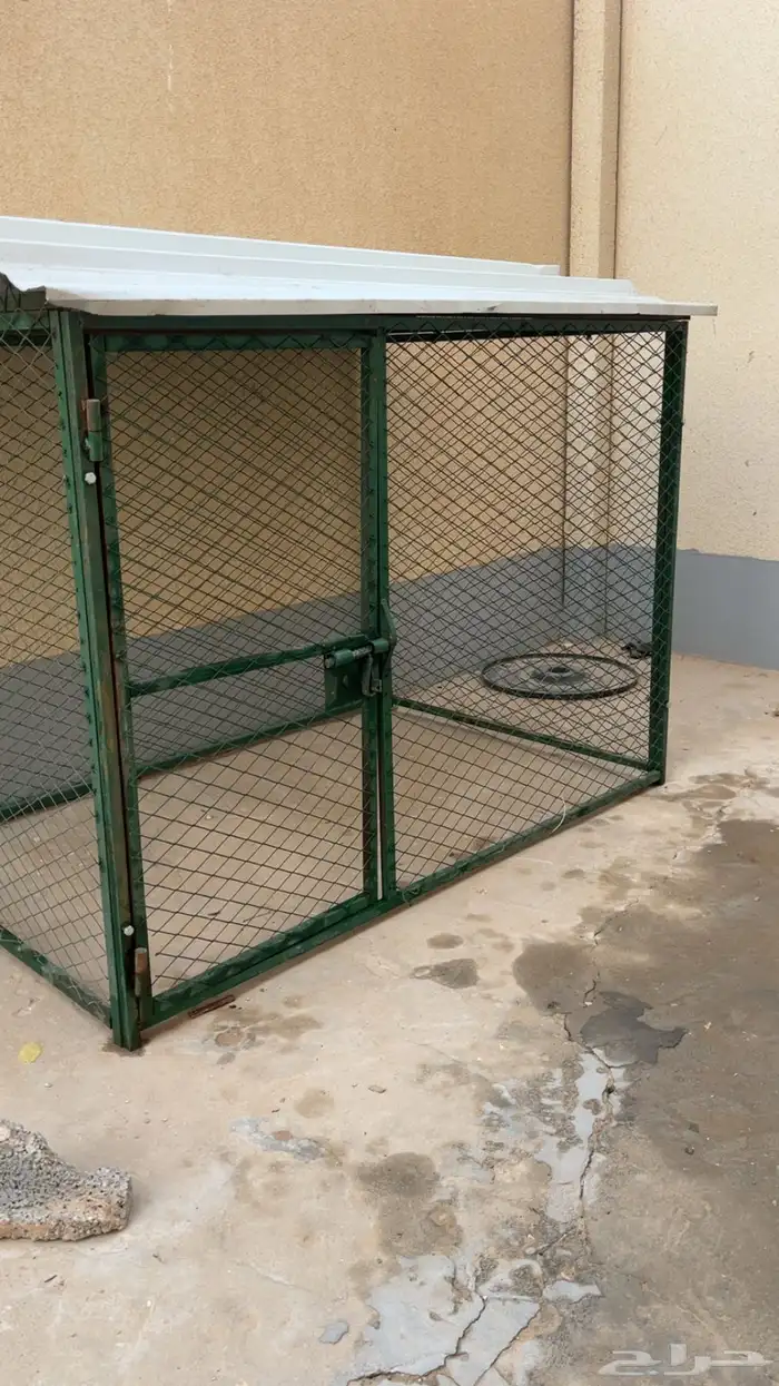 شبك للبيع دجاج حمام كلاب اقطاوه . 3