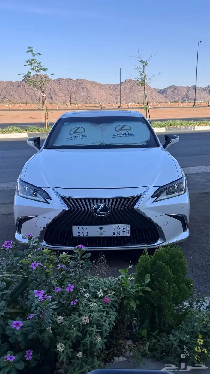 لوحة ط ن ا 240 0