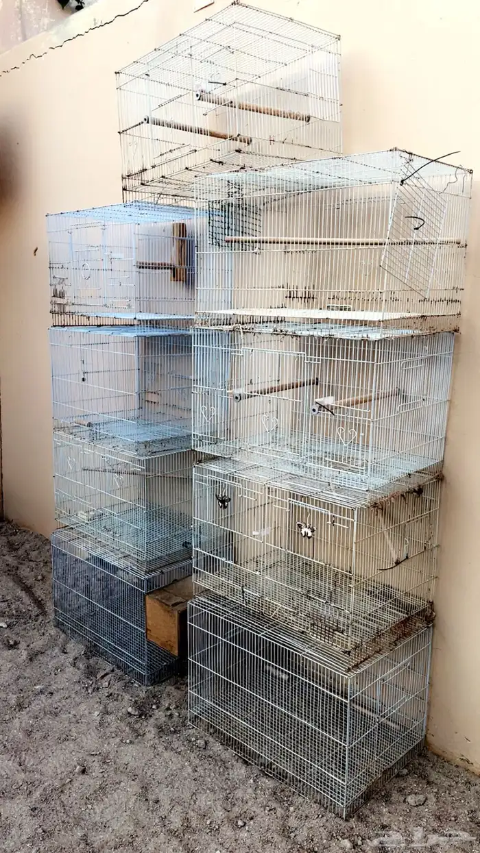 اقفاص طيور 601 1