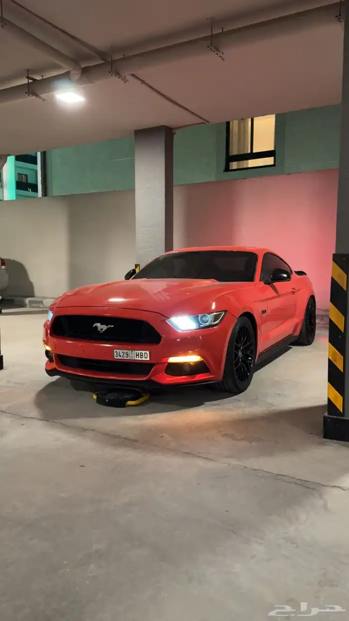 للبيع موستنج 2015 v8 قير عادي 3