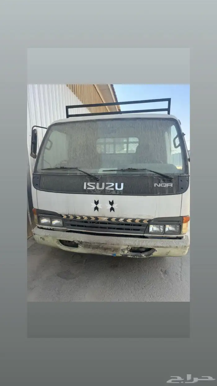 دينة ايسوزو2004 6