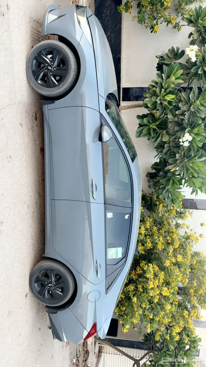 للبيع النتراء 2023 نص فل 4