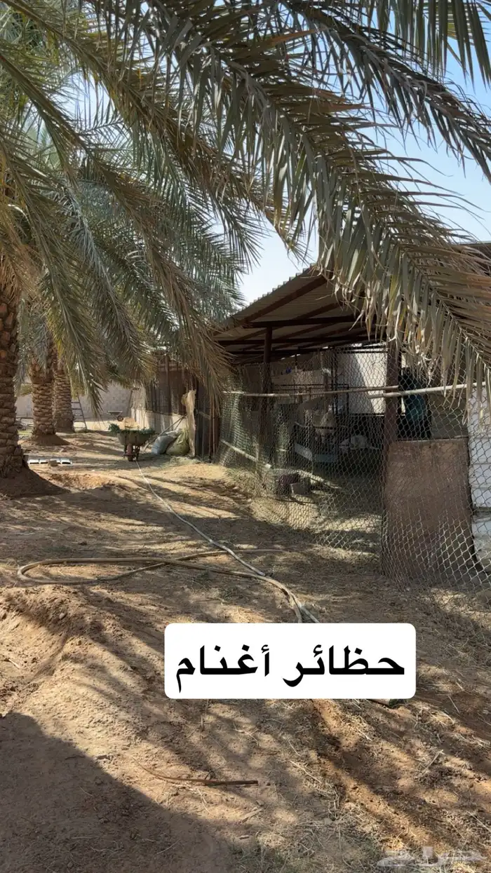 للبيع استراحة بالخرج ( الريحان ) كلشي جاهز 10