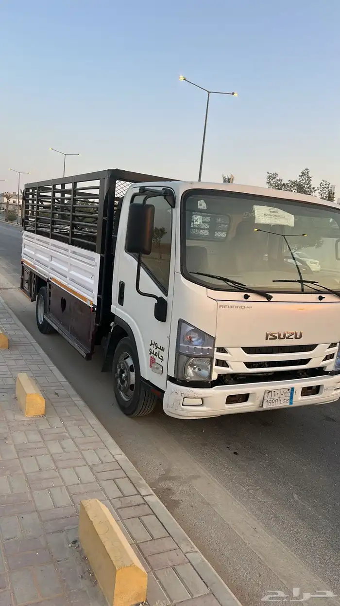 دينا2021ايسوزو 0