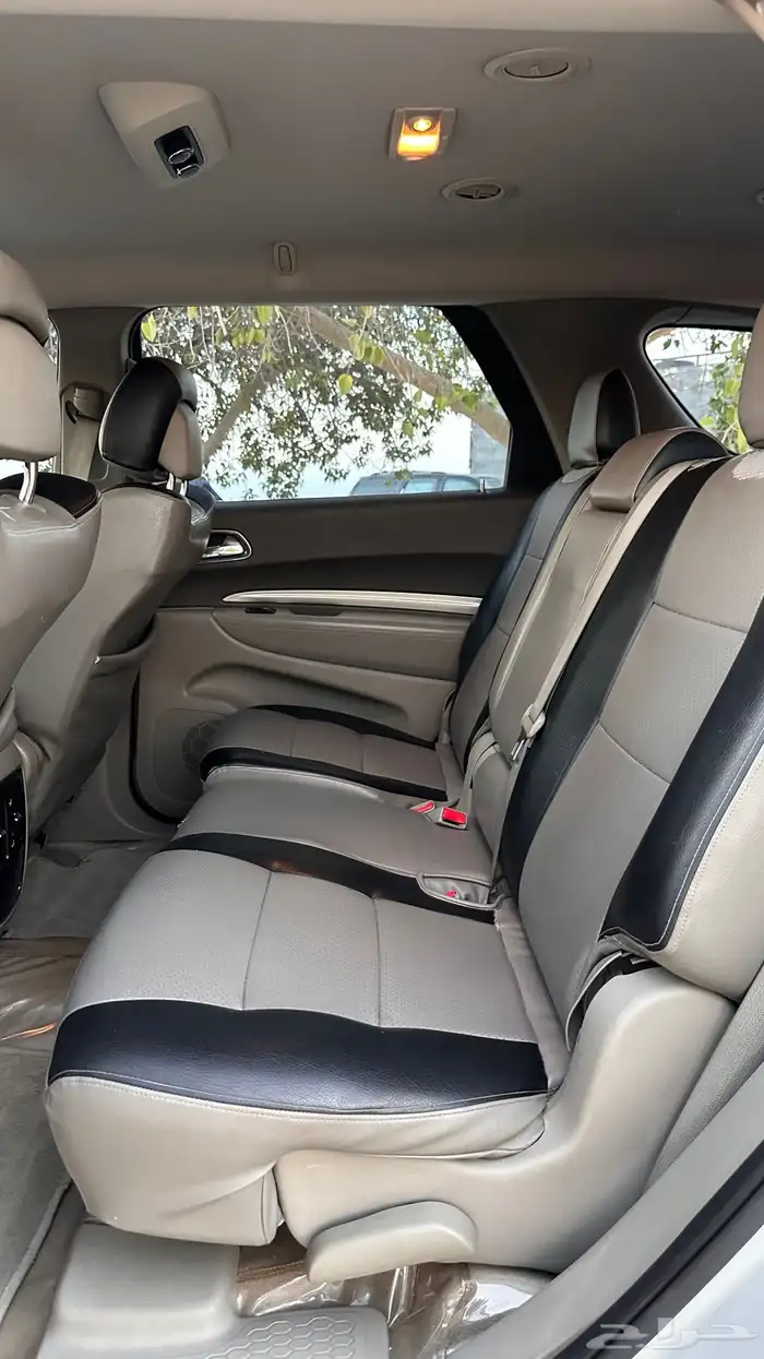 درانجو 2013 24