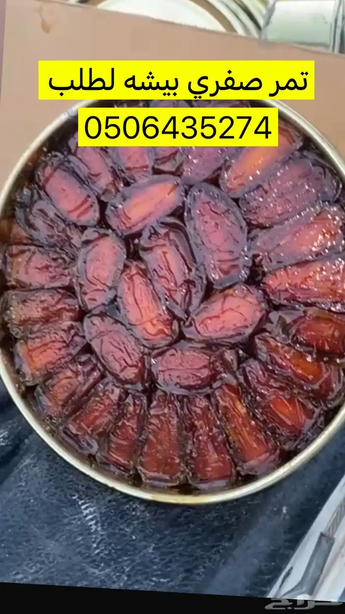 تمر صفري بيشه 1