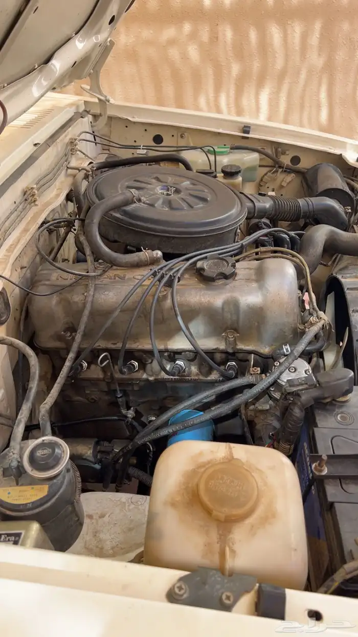 كلاسك داتسن 7