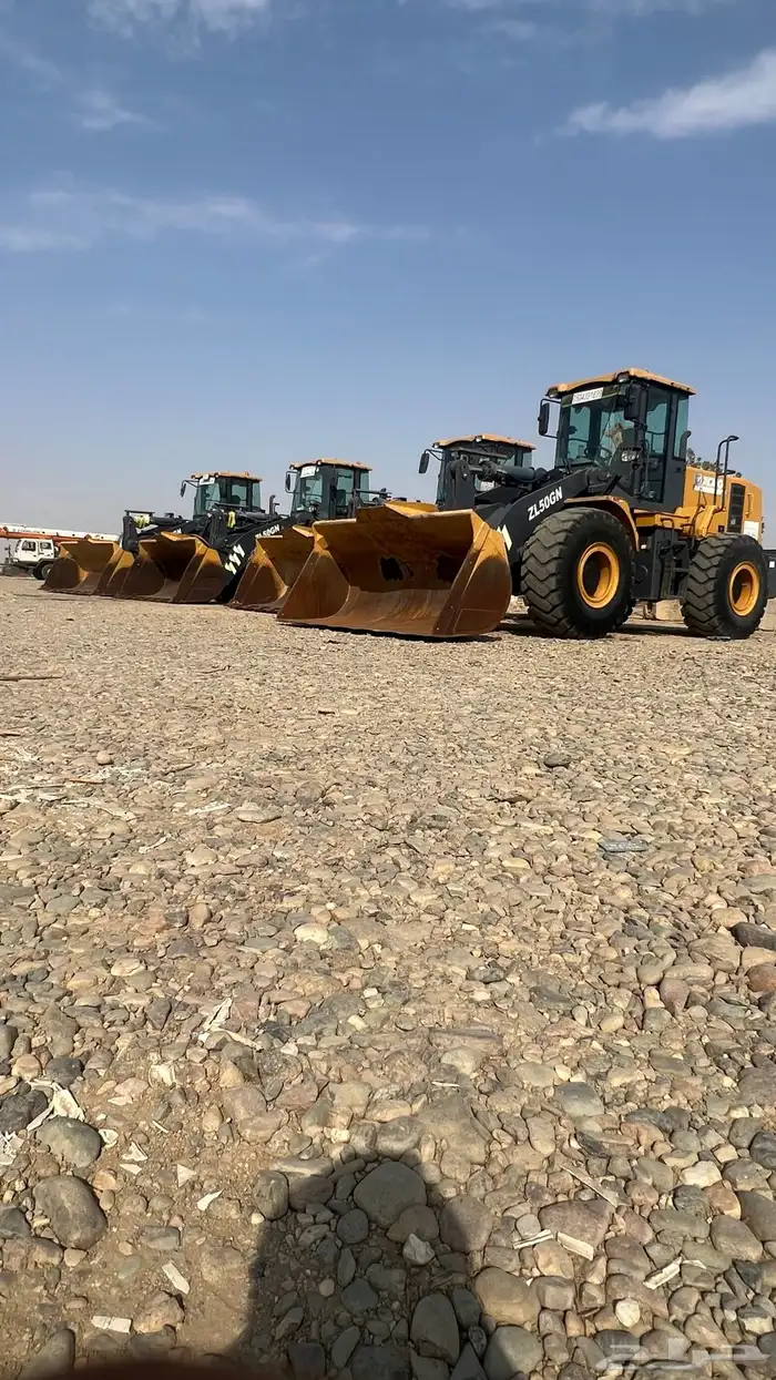 شيول للإيجار _ Sheol for rent 0