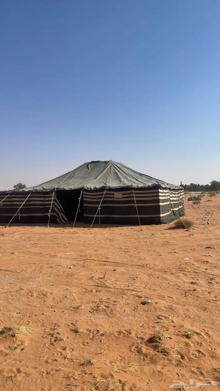 بيت شعر 10 10 مروبع 0