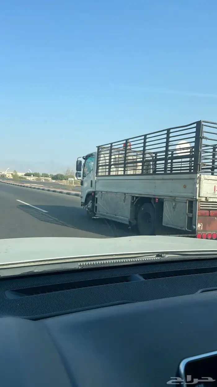 دينه دينا طايف نقل دينات توصيل الطايف 0