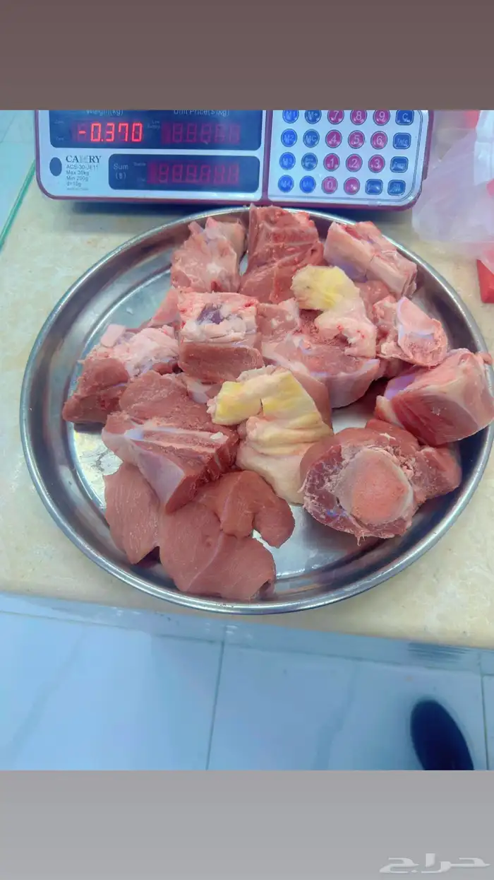 معلم ملحمه العمر 25 0