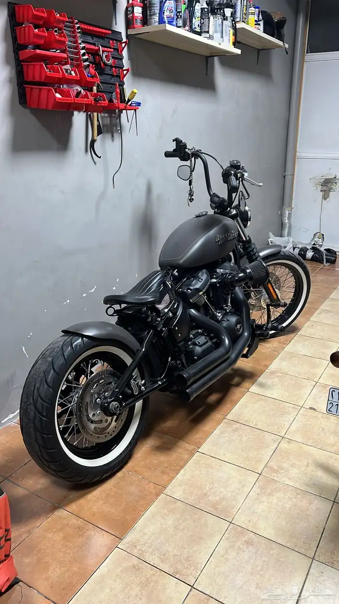 2019 street bob Softail bobber style 0