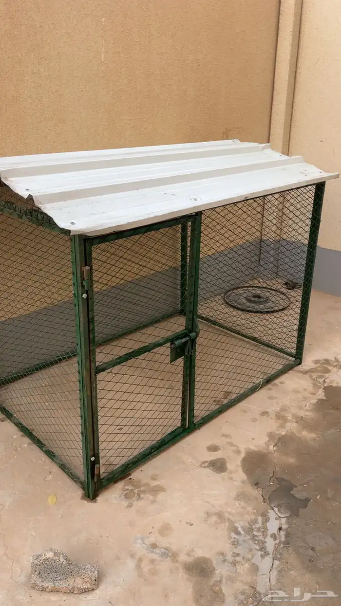 شبك للبيع دجاج حمام كلاب اقطاوه . 2