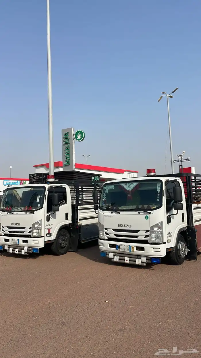 دينه دينا جده 3