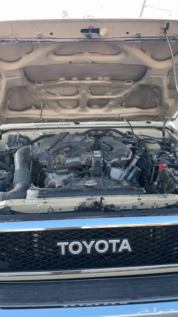 شاص 13 بريمي بودي بلد 9