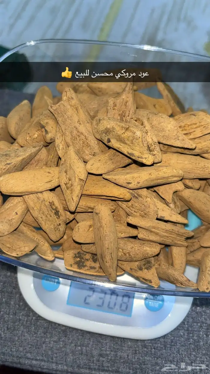 للبيع عود مروكي محسن 0