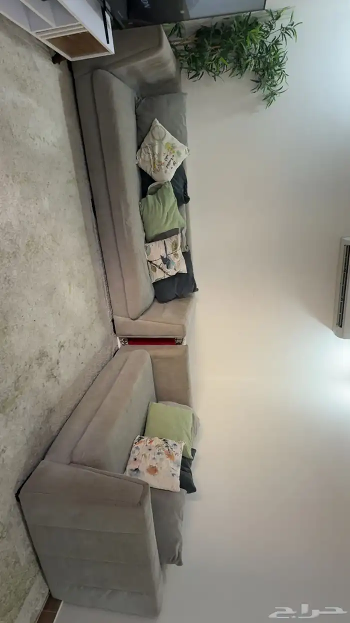 كنب امريكي 0