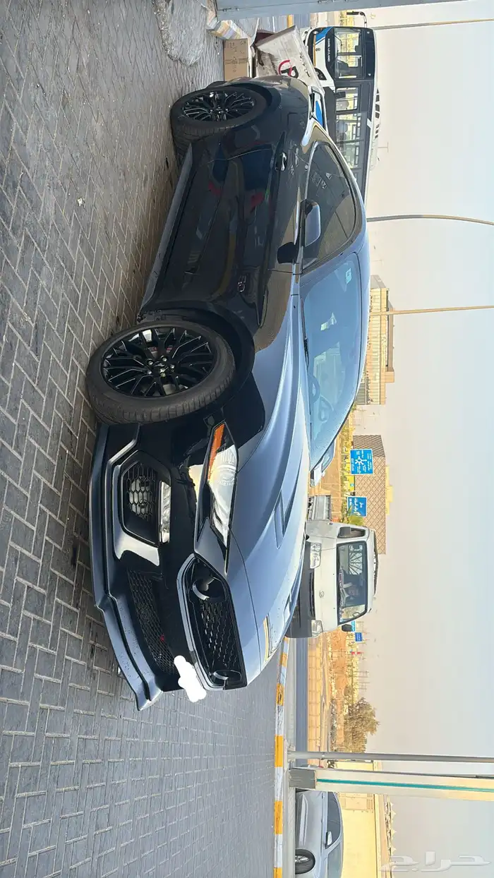 موستنج pp1 5.0 5