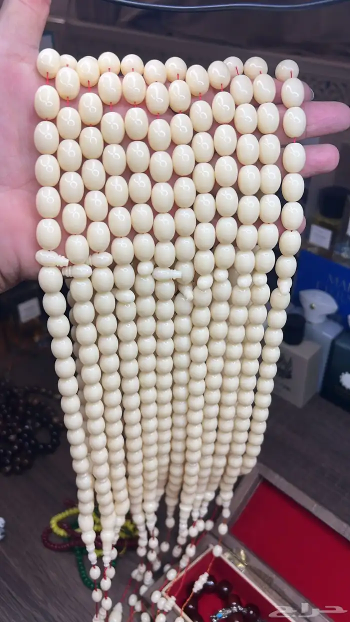 سبح ضومنه   دومينو صي جديد 2