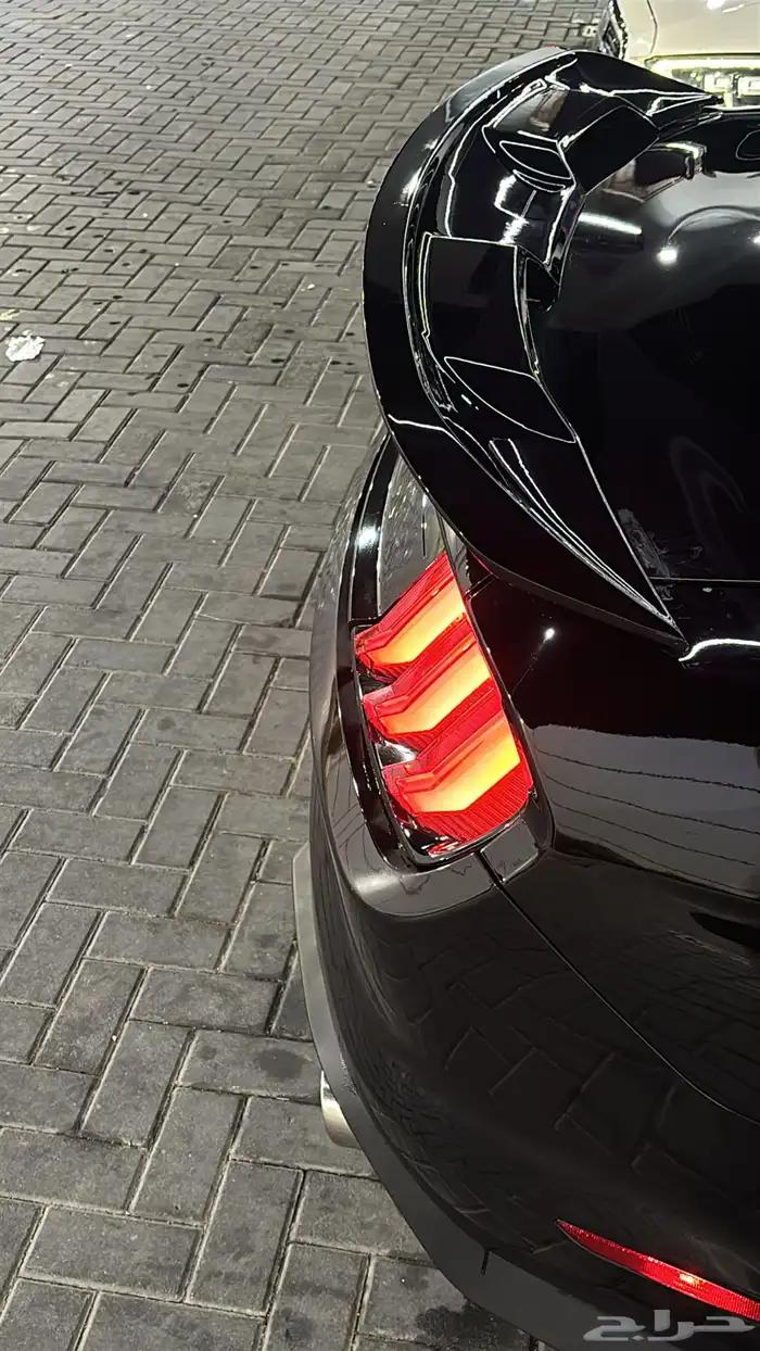 موستنج pp1 5.0 1