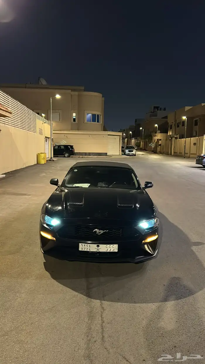 موستنج 2019 3