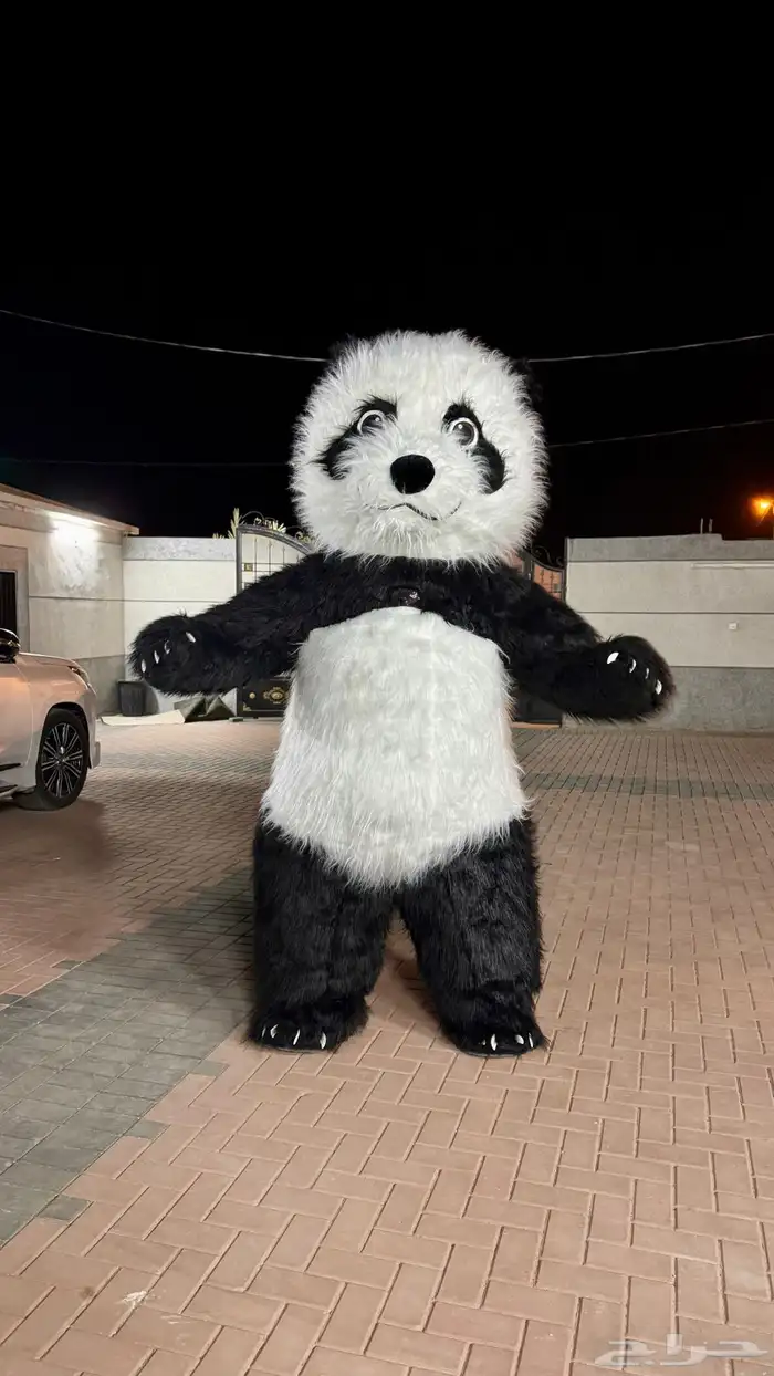 شاشات عملاقة. تراسات مسارح إضاءات اسعار مرضيه للجميع 78