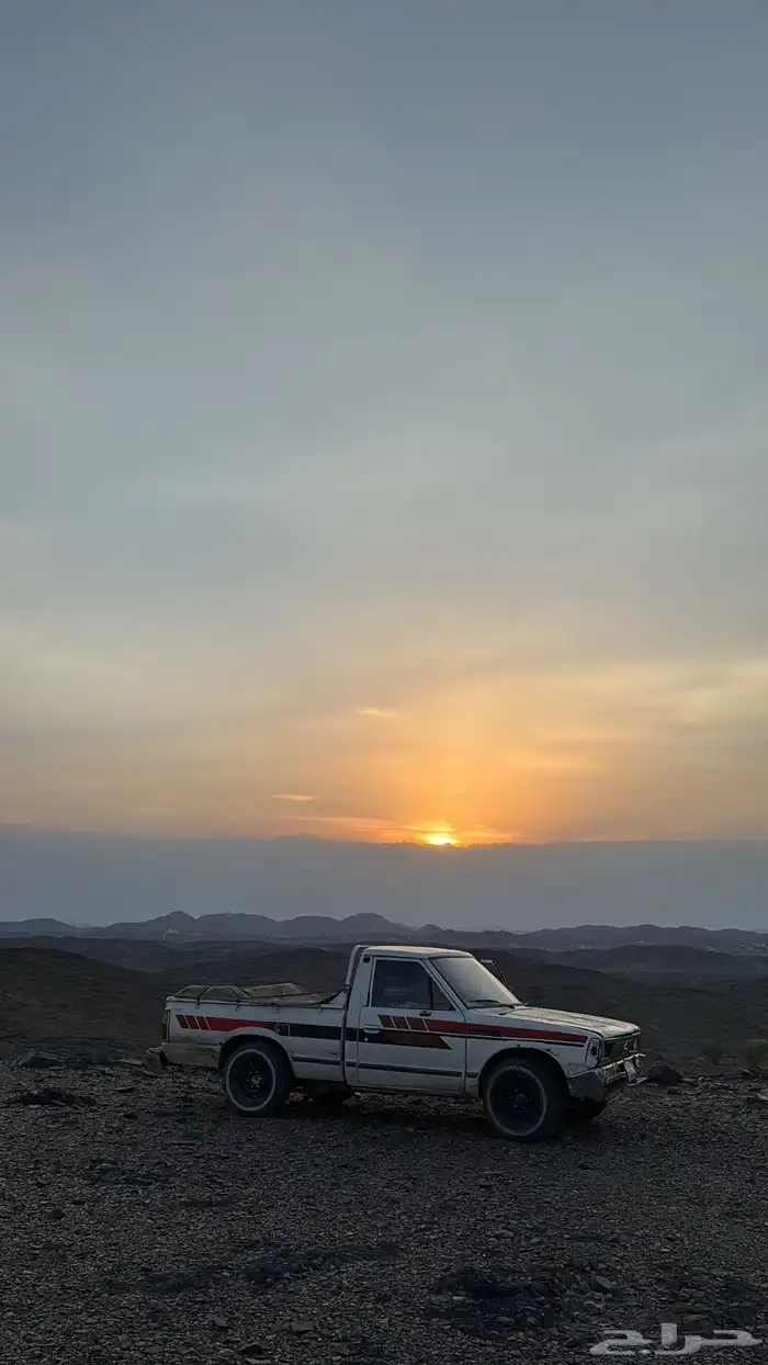 ددسن 85 مسقطه 1