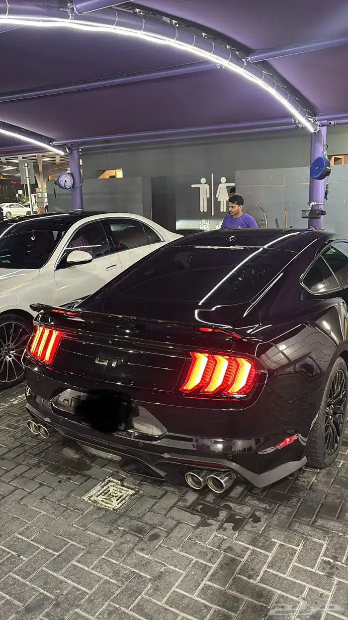 موستنج pp1 5.0 2