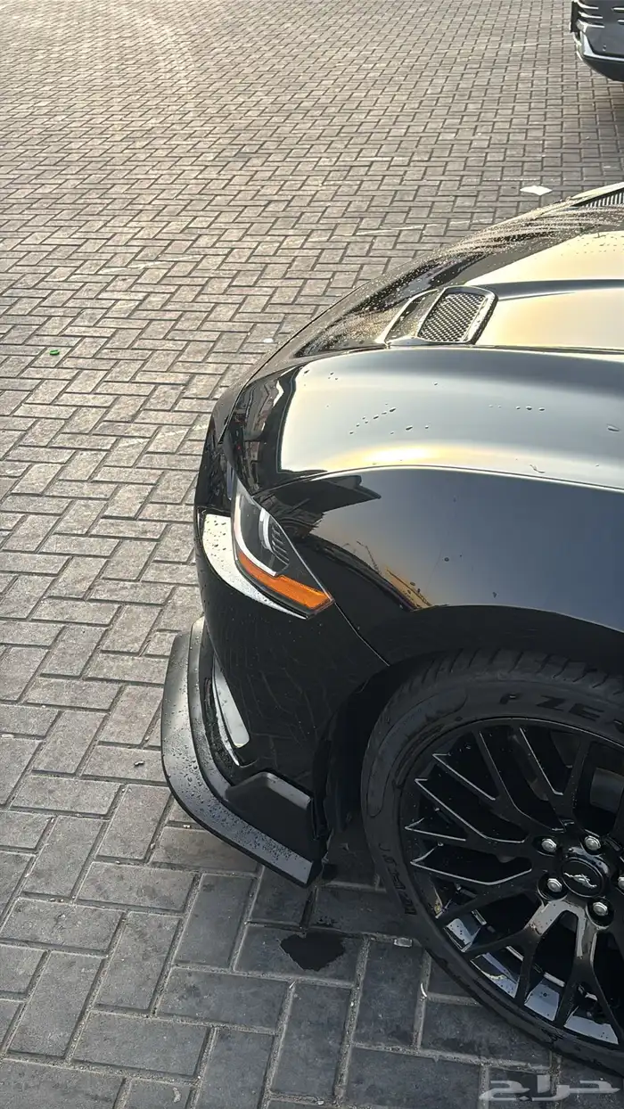 موستنج pp1 5.0 6