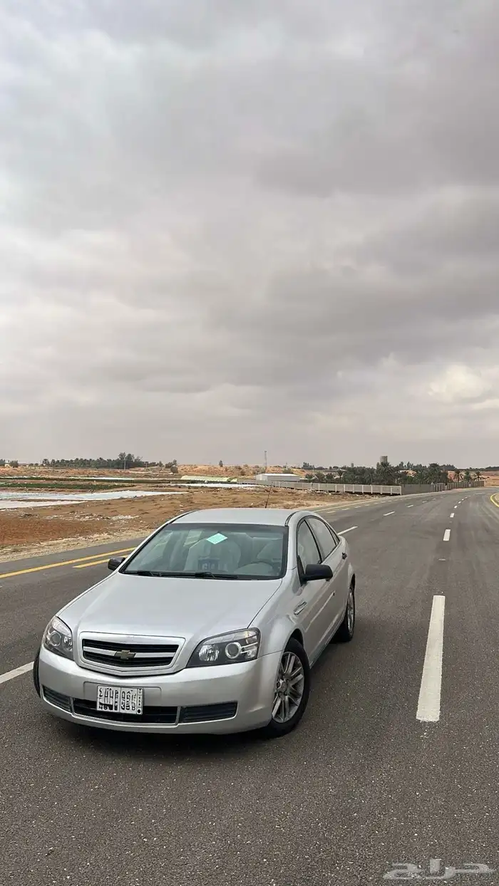 كابرس 2013 6