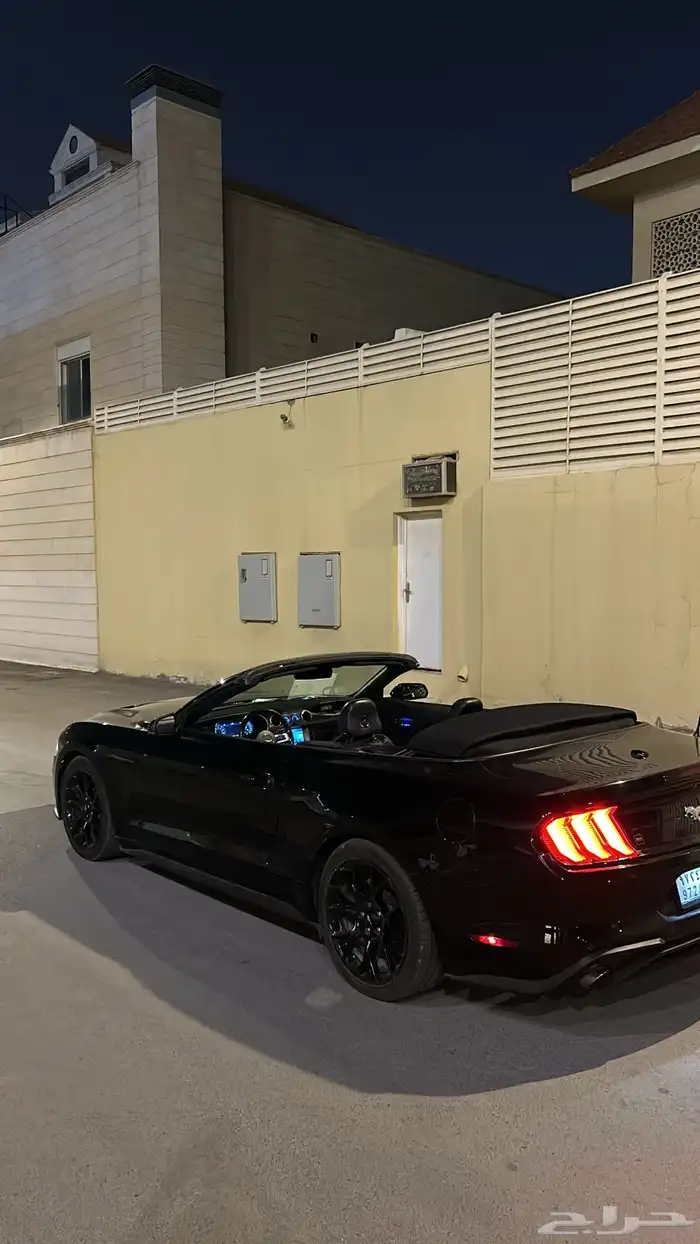 موستنج 2019 2