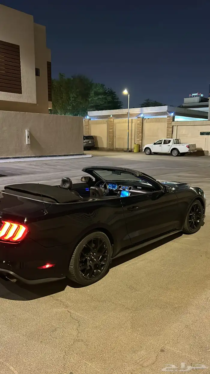 موستنج 2019 1