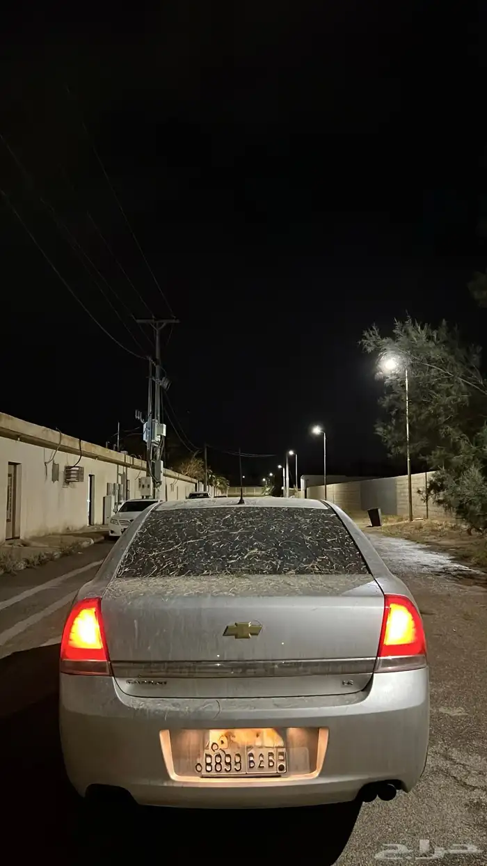كابرس 2013 8