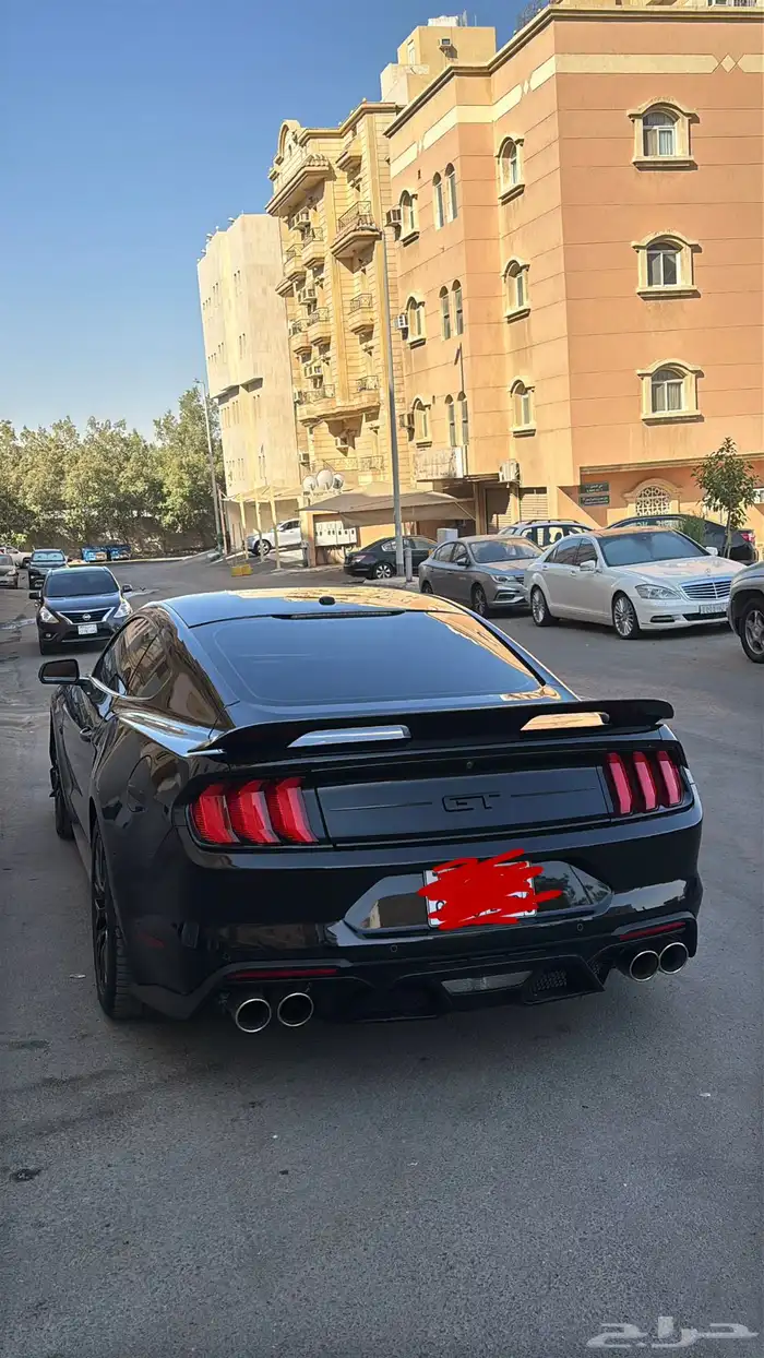 موستنج pp1 5.0 0