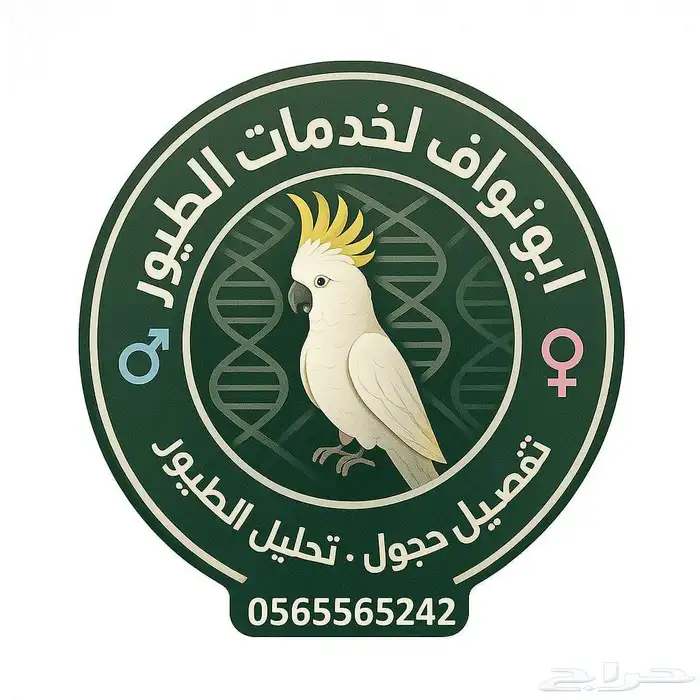 فتخات صقور فتخة نحاس دبل حجول كبس استيل 6