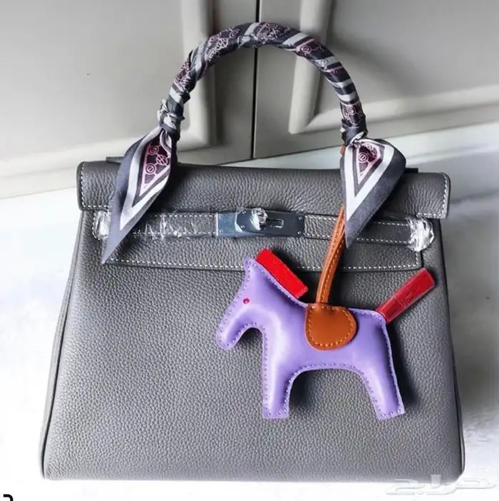 شنطه ماركات ديور قودشي شانيل وجميع إلى منزله متوفره لطلب 35