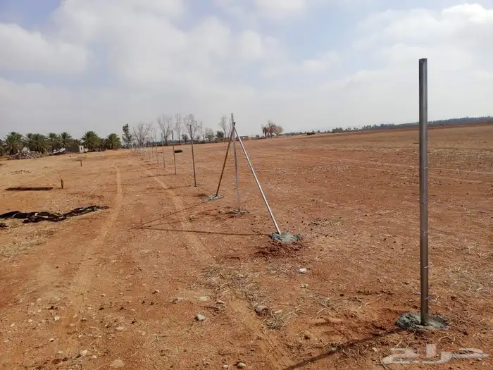 نحن نقوم بشغل جميع أنواع الشبوك 10