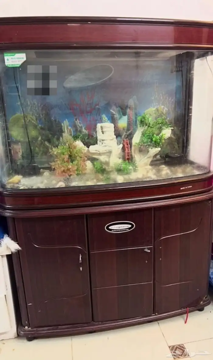 حوض سمك للبيع ب 600 ريال من تحت جزامه أكرمكم الله 5